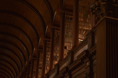 Cosas que ya no necesitarás una biblioteca.