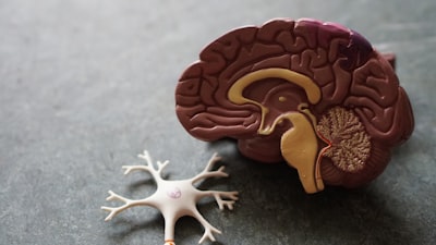 Operadores Integrales Neuronales para Clasificación Espectroscópica con Muestras Pequeñas