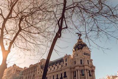 Las 5 mejores empresas para gestionar empleados de IA en Madrid
