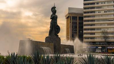 Servicios profesionales de software a medida en Guadalajara