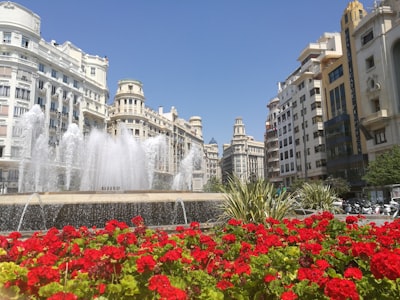 La mejor consultoría de software en Valencia