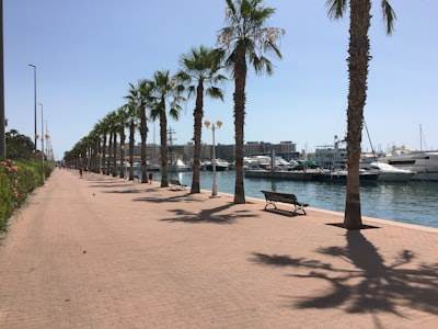 SEO Bots en Alicante