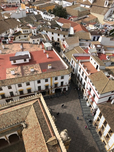 Top 10 expertos en avatares IA personalizados en Córdoba