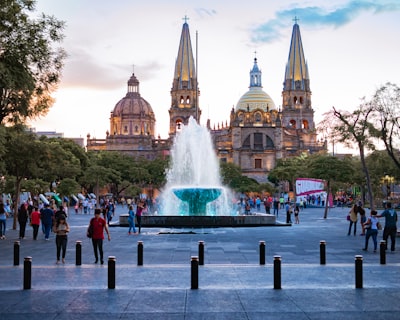 Top 5 Especialistas en bots de WhatsApp en Guadalajara