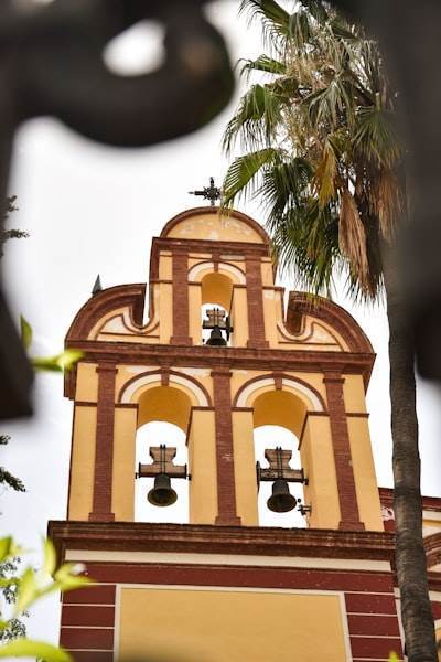 Los bots de Telegram en Cartagena