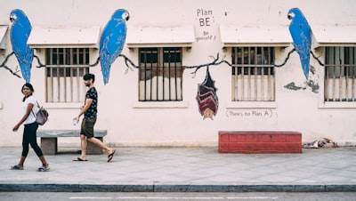 Mejores 100 empresas para bots de Instagram en San Andrés del Rabanedo