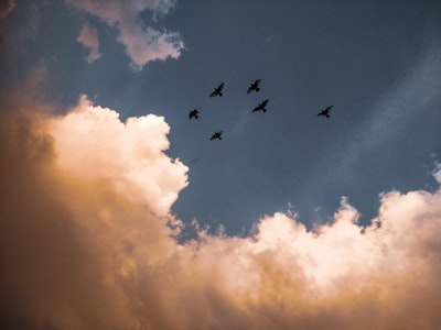Top 15 Empresas de migración a la nube de Azure en Madrid