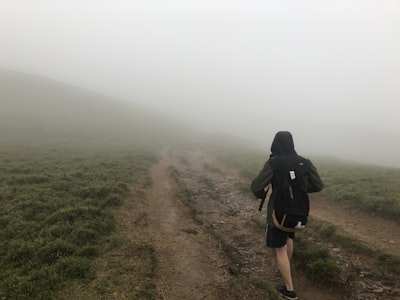 Cómo los paseos durante la crisis evitaron el desmoronamiento.