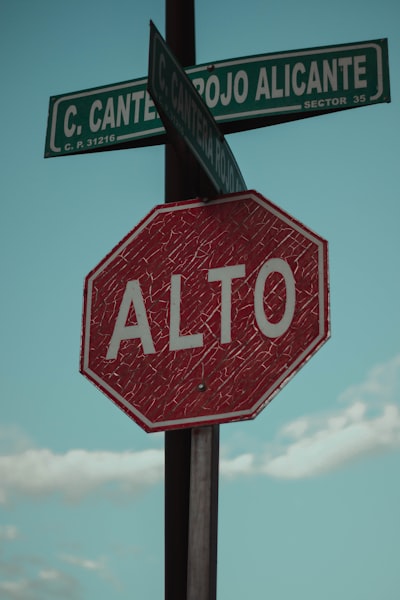 Socio oficial en Alicante: automatización de la calificación de clientes potenciales