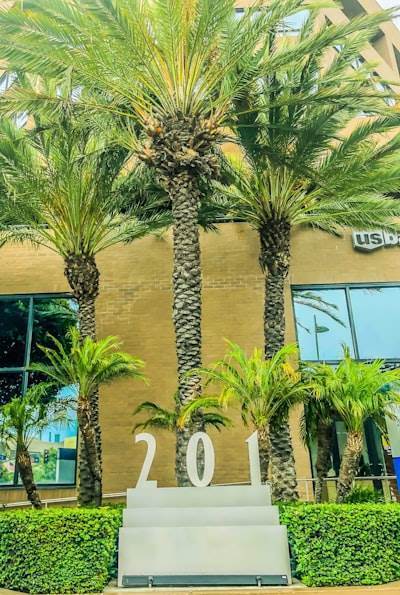 Mejores empresas de n8n en Santa Cruz de Tenerife