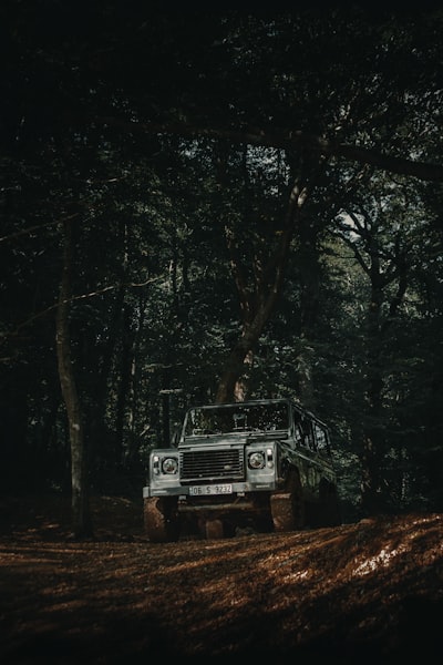 Reinforcement learning in extreme terrain