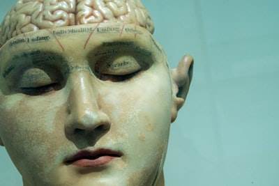 Guía exhaustiva sobre las dinámicas emocionales del contacto humano-máquina