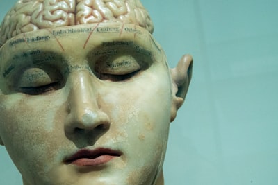 Modelos de lenguaje y pensamiento creativo: similitudes con el cerebro humano