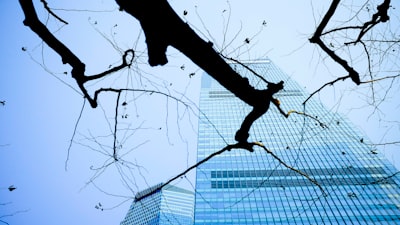 ¿Los servicios de integración de sistemas pueden predecir tendencias comerciales?