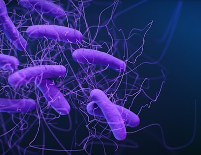 Pronóstico de resistencia antimicrobiana con aprendizaje automático en datos de vigilancia de la OMS