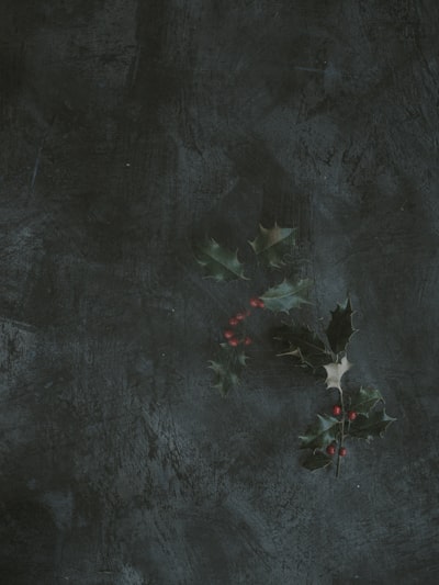 Fragmentos del 16 de diciembre