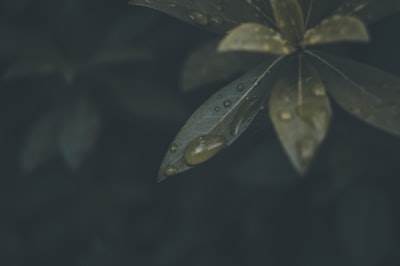 Convert LangChain JS into a Simple Learning Path - Free and Open Source