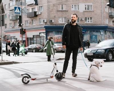 Automatización de IA en Zizur Mayor