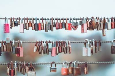 Consideraciones al evaluar proveedores de aplicaciones de gestión personalizadas seguras