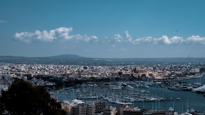 Las mejores empresas para anuncios AI en Palma