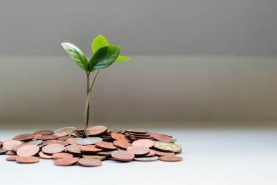 Cómo las empresas globales reducen costos y aceleran resultados