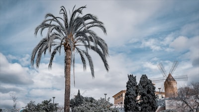 Proveedor de soluciones a medida en Palma