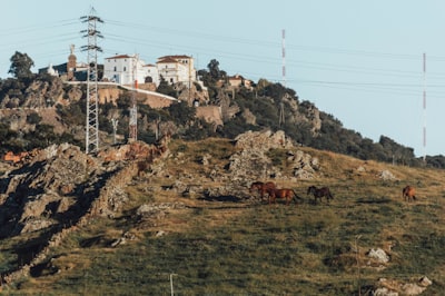 3 aplicaciones útiles en Tafalla