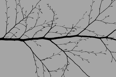 Alineamiento estructura-semántica con optimización de transporte óptimo desbalanceado