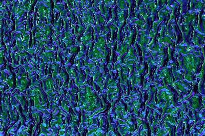 Cálculo de gradientes en neuronas estocásticas