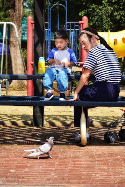 Reevaluación de la adopción del aprendizaje activo en NLP contemporáneo
