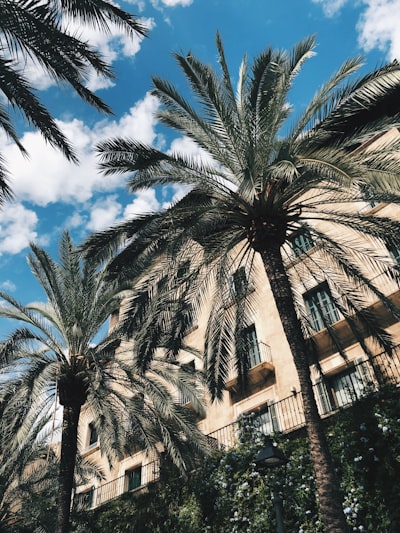 Top 50 expertos en flujo de trabajo personalizado en Palma
