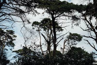 Los mejores expertos en n8n en Alberite