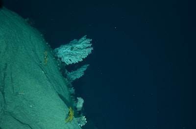 Mining Temporal Patterns for Deep-Sea Exploration Habitat Design with Embodied Agent Feedback Loops