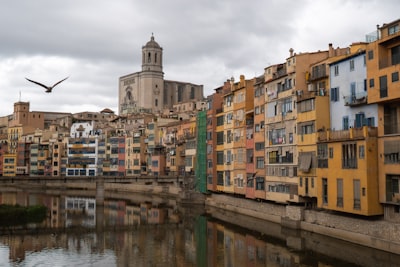Principales Expertos SEO IA Girona