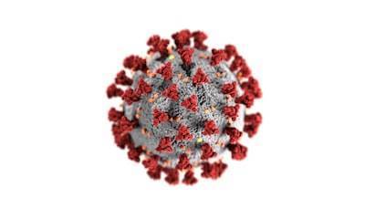 Improved Drug Delivery through Magnetic Nanoparticles and Dynamic Field Gradient Optimization