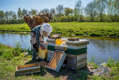 Building an Effective Honeypot Field