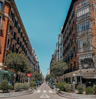 Socio comercial en Madrid: Avatar conversacional oficial con más de 15 años de experiencia