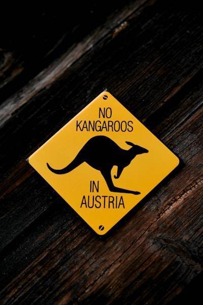 Manifieste que la adopción segura de la IA para pymes depende de MSPs australianos críticos
==========================================================================================