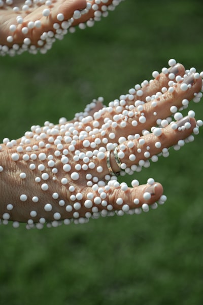 Generación de datos de salud de la fauna con trampas fotográficas