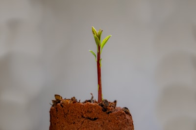 Sistema de Crecimiento ERP