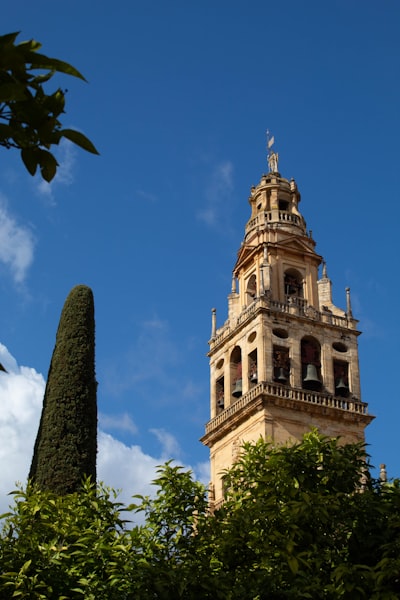 Top 3 Especialistas en Desarrollo Web Empresarial en Córdoba
