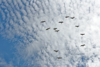 Lista de las principales empresas para servicios de migración a la nube Azure en Alicante