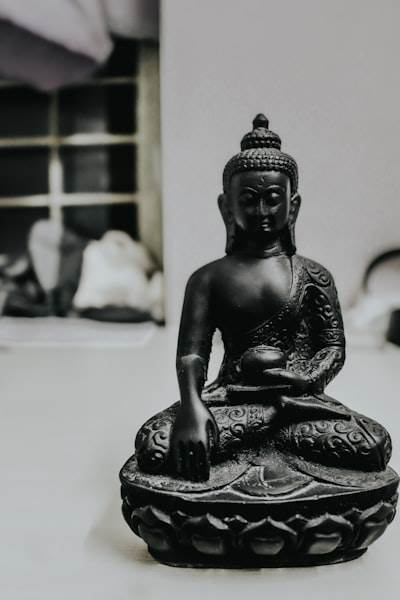Depuración a través de la meditación