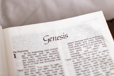 Servicios de Genosys Limitada