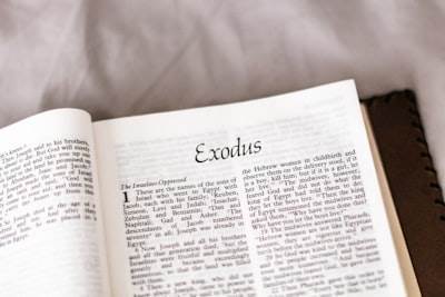 Codex vs Claude vs Cursor