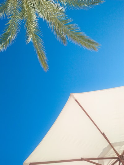 Mejores empresas de software empresarial en Marbella