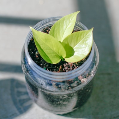 Los 100 mejores expertos en automatización de la nutrición de leads en Valencia