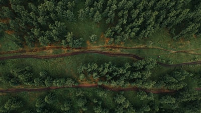 Modelo de IA para inventarios forestales con LiDAR heterogéneo