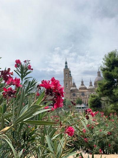 Sistema de gestión para empresa de jardinería en Zaragoza