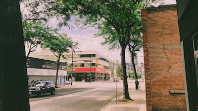 Mejores empresas de bots de Instagram en San Lorenzo de El Escorial